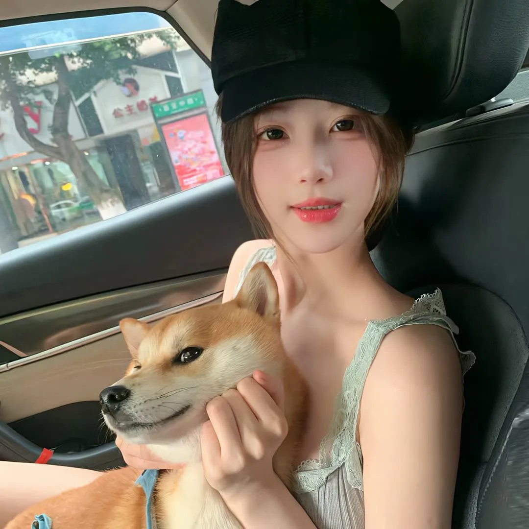 精灵高中之纽约